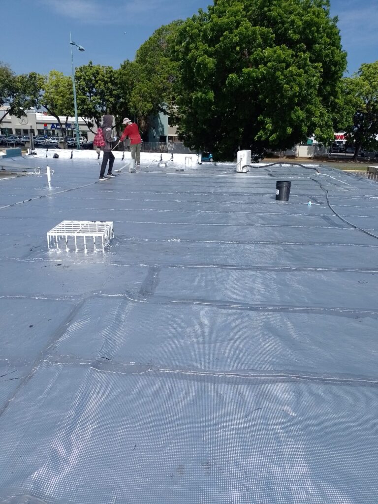 365630556-116877491497211-534347721118449871-n