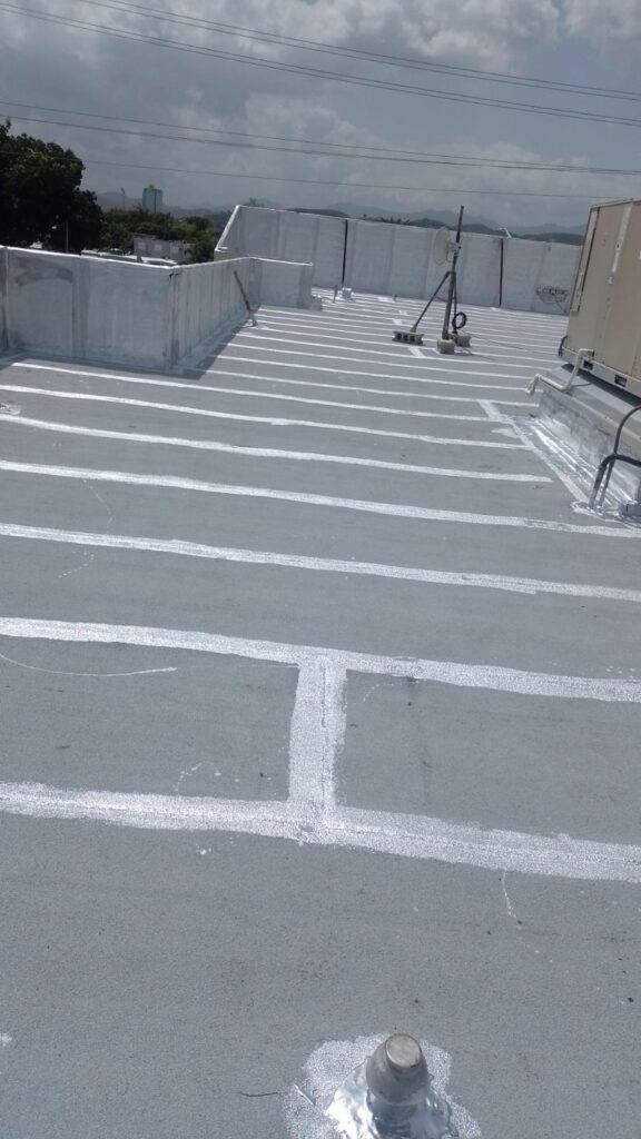 369181552-124602394058054-3433408189574011237-n